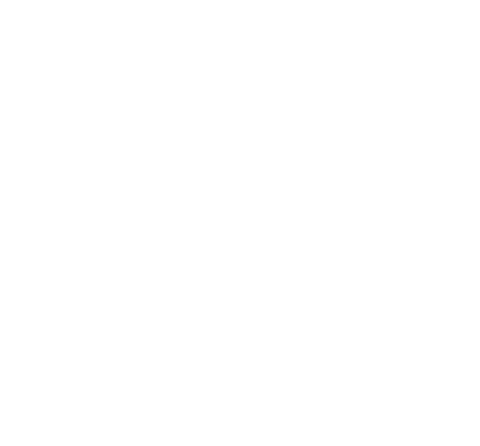Riconstruct