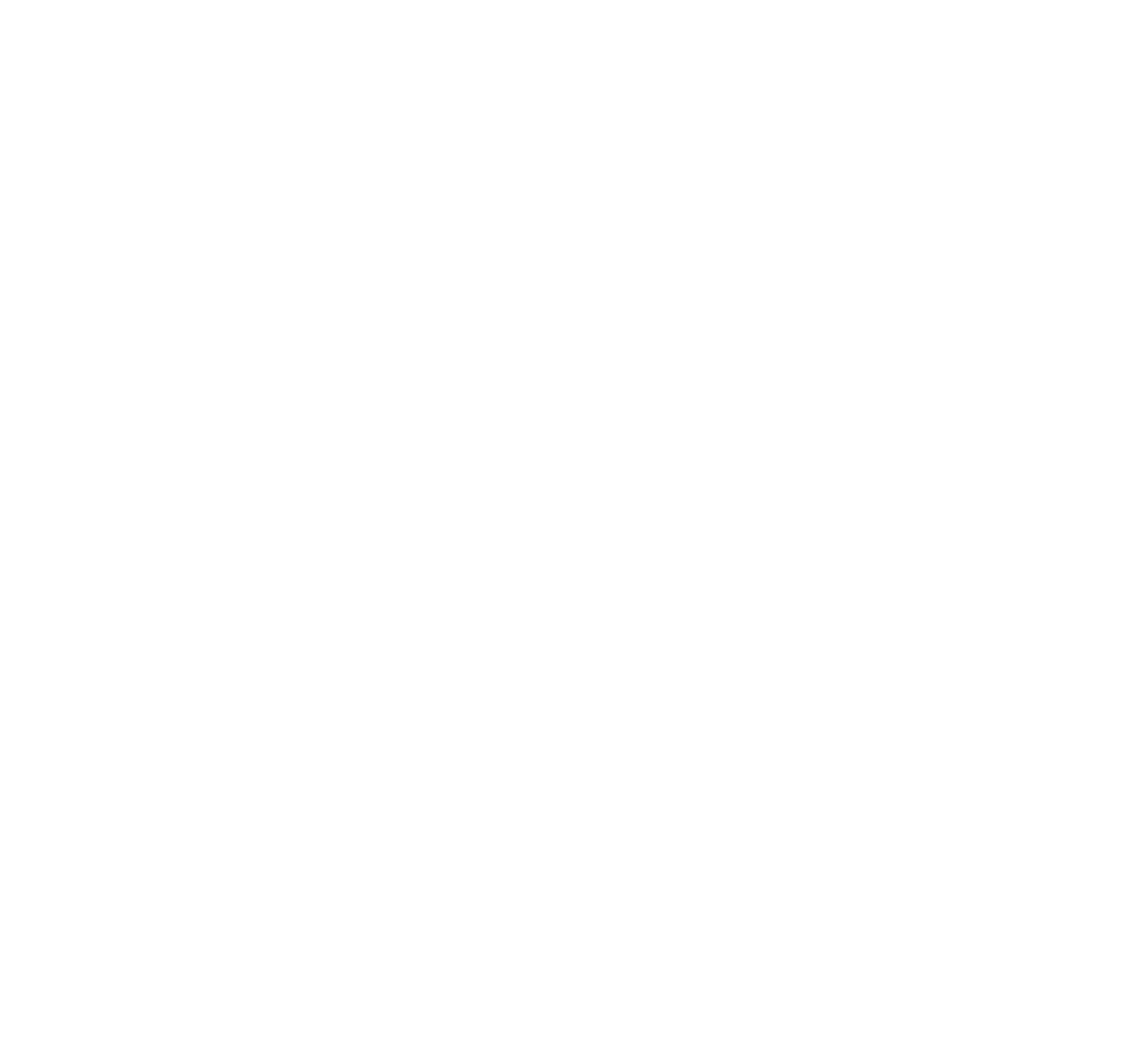 Riconstruct